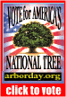 ntthumb.gif (6353 bytes)